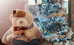 Visiter Albertville à Noël