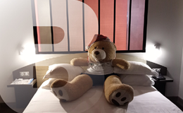 Visiter Roanne à Noël