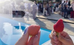 Les 10 ans de notre label "Producteurs Locaux"