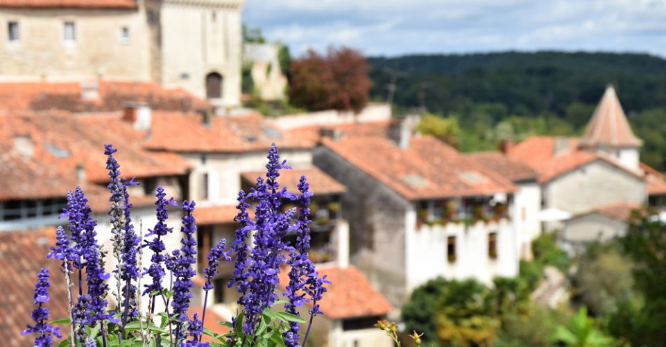 Enjoy the comfort of our 2, 3 or 4 star hotels throughout France