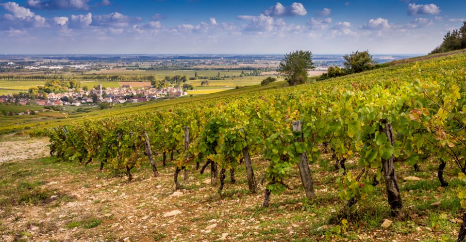 Profitez du confort de nos hôtels 2, 3 ou 4 étoiles sur l'ensemble de la France