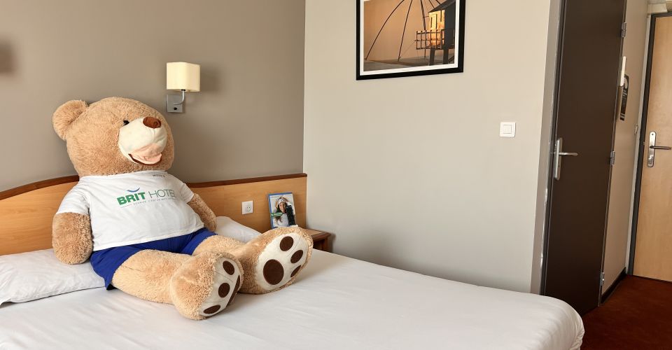 Enjoy the comfort of our 2, 3 or 4 star hotels throughout France