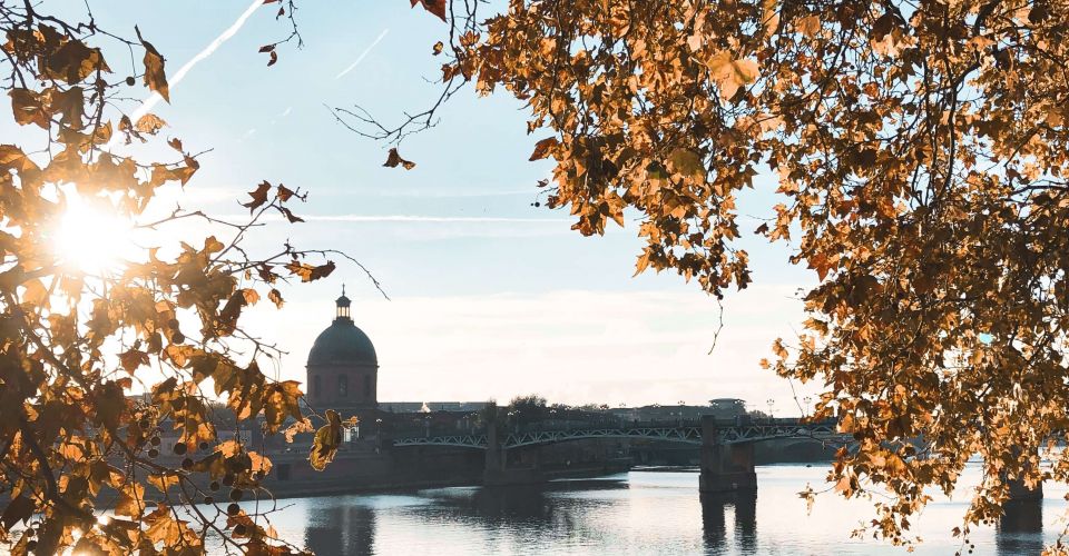 Activities around Toulouse Brit Hotel 