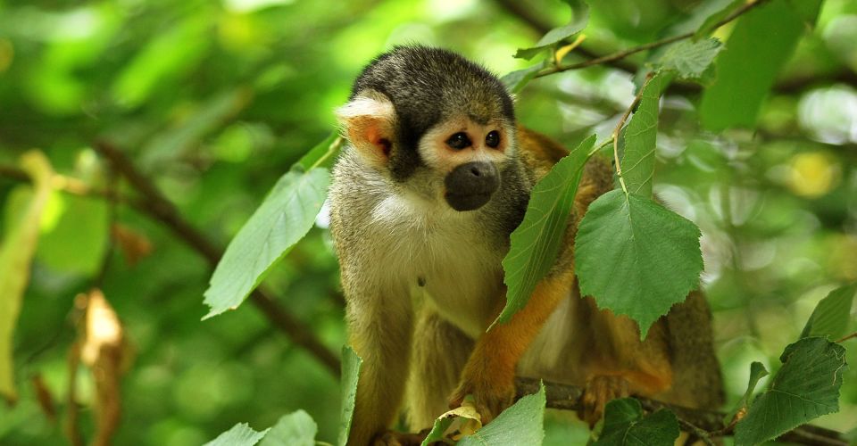 Profitez du confort de nos hôtels 2, 3 ou 4 étoiles sur l'ensemble de la France