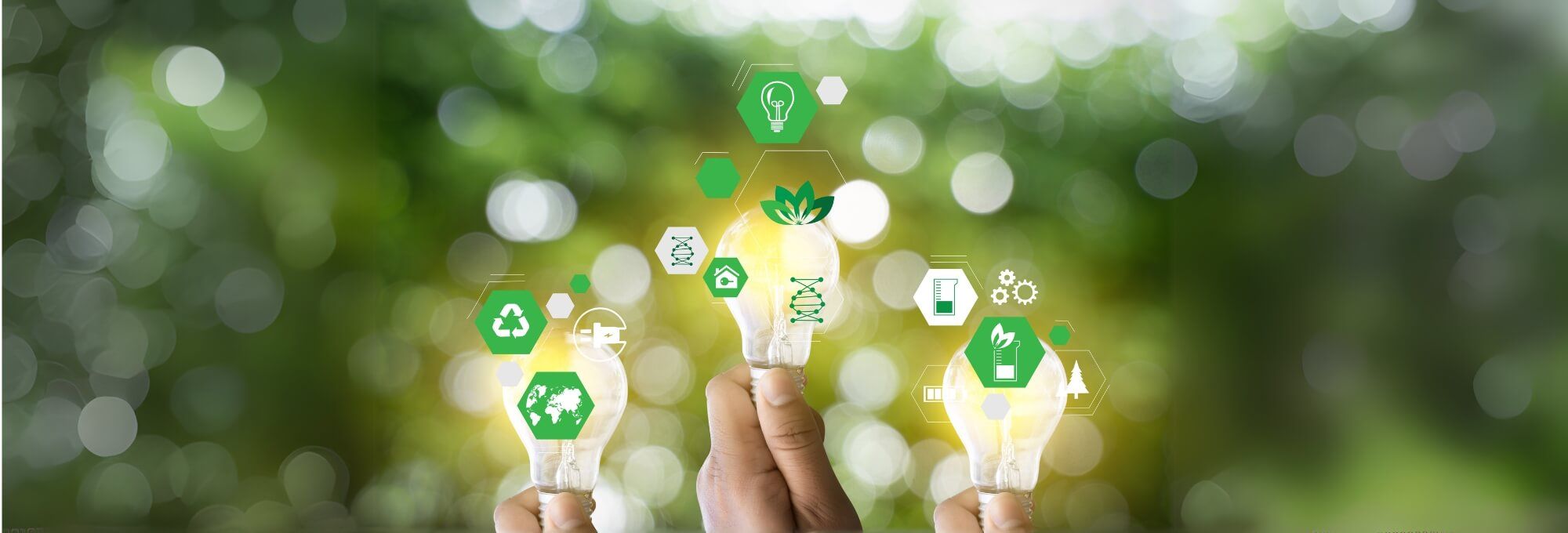 The CSR approach of the Birt Hotel Bordeaux