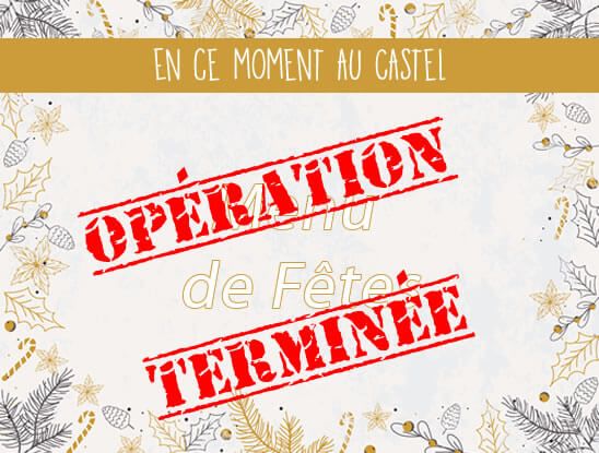 En ce moment au Castel