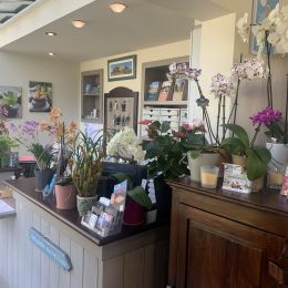 Brit Hotel de Lannion vers Perros-Guirec 