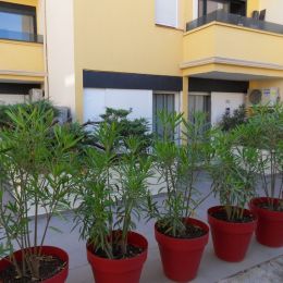 Brit Hotel Opal Centre - Cap d'Agde