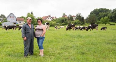 Lait frais entier pasteurisé Alsace Lait, coopérative laitière alsacienne