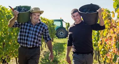 Winegrowers of Saint-Sardos, near Toulouse