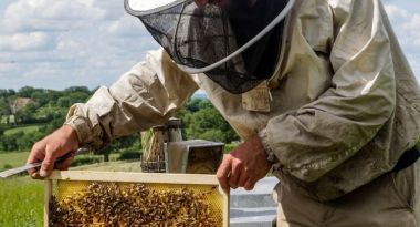 Profitez du confort de nos hôtels 2, 3 ou 4 étoiles sur l'ensemble de la France