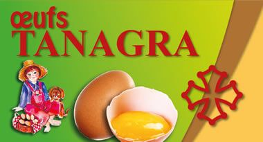 Tanagra eggs, local wholesaler