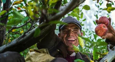 local fruit juice producer