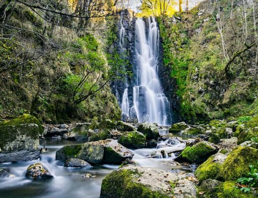 Auvergne-Rhône-Alpes