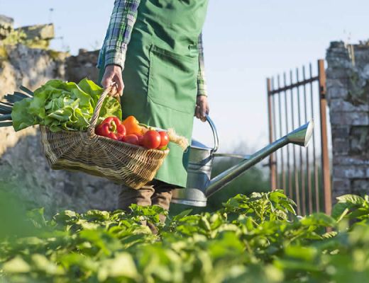 Local producers in Angers