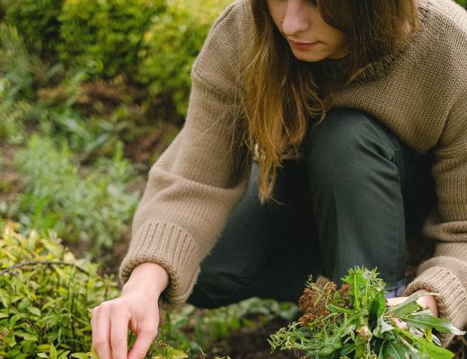 Local producers around the hotel in Avignon