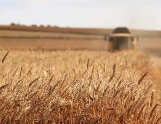 Les producteurs locaux du restaurant le Castel à Rennes