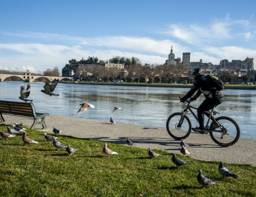 Organisez votre séjour en Avignon