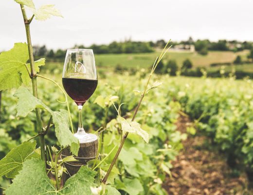 Le tourisme en Bourgogne