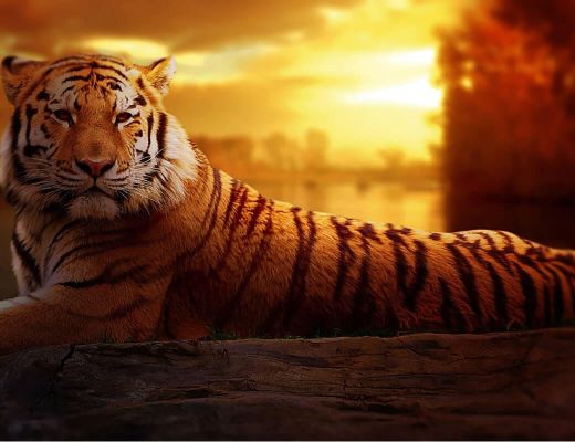 Tourism in Tours and the Touraine region