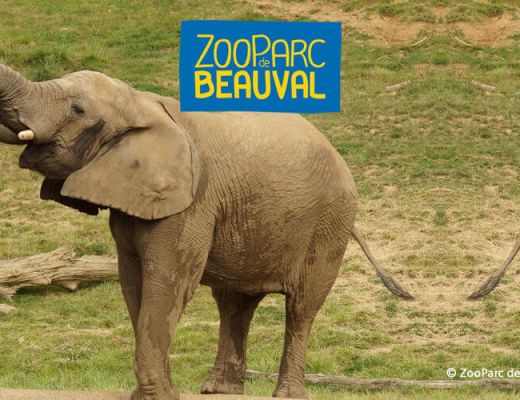 Beauval ZooPark
