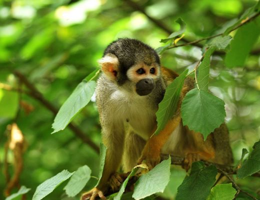 Our hotels in Indre-et-Loire