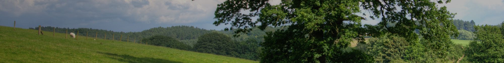 Paysage de campagne en Lot-et-Garonne