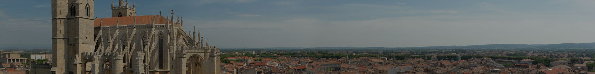 Cathédrale de Narbonne